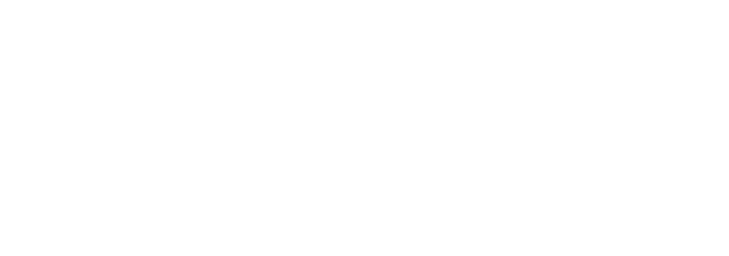 Universo Profesional UTN