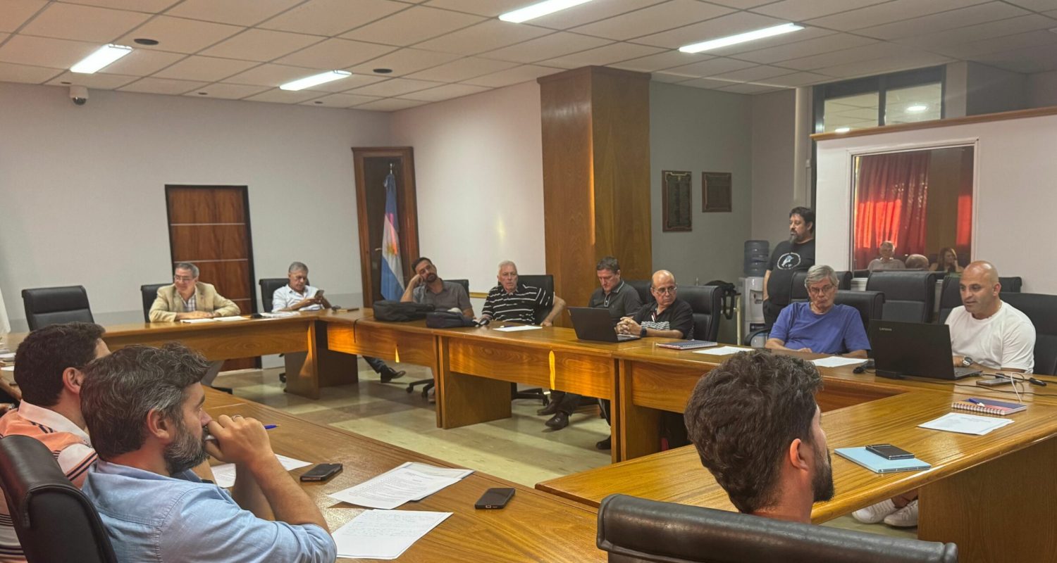 Consejo Materias Básicas