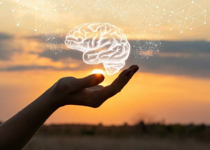 inteligencia emocional